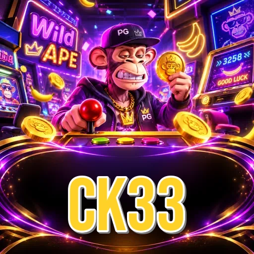 Version History ck33
